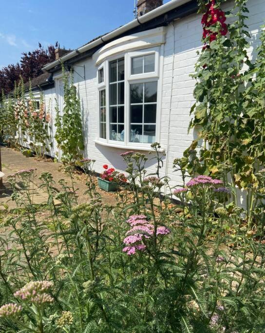 Field Cottage Whittlesey Dış mekan fotoğraf