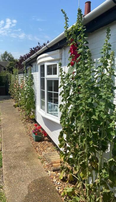 Field Cottage Whittlesey Dış mekan fotoğraf